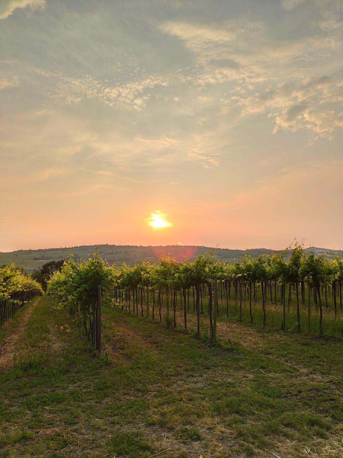 Agriturismo Bosco Longhino Santa Maria della Versa ภายนอก รูปภาพ
