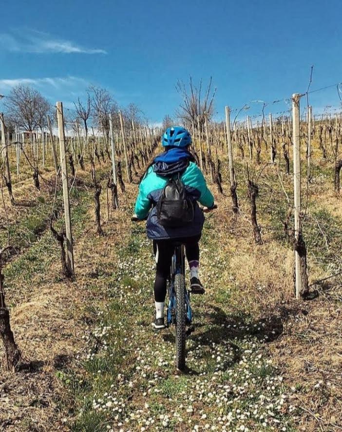 Agriturismo Bosco Longhino Santa Maria della Versa ภายนอก รูปภาพ